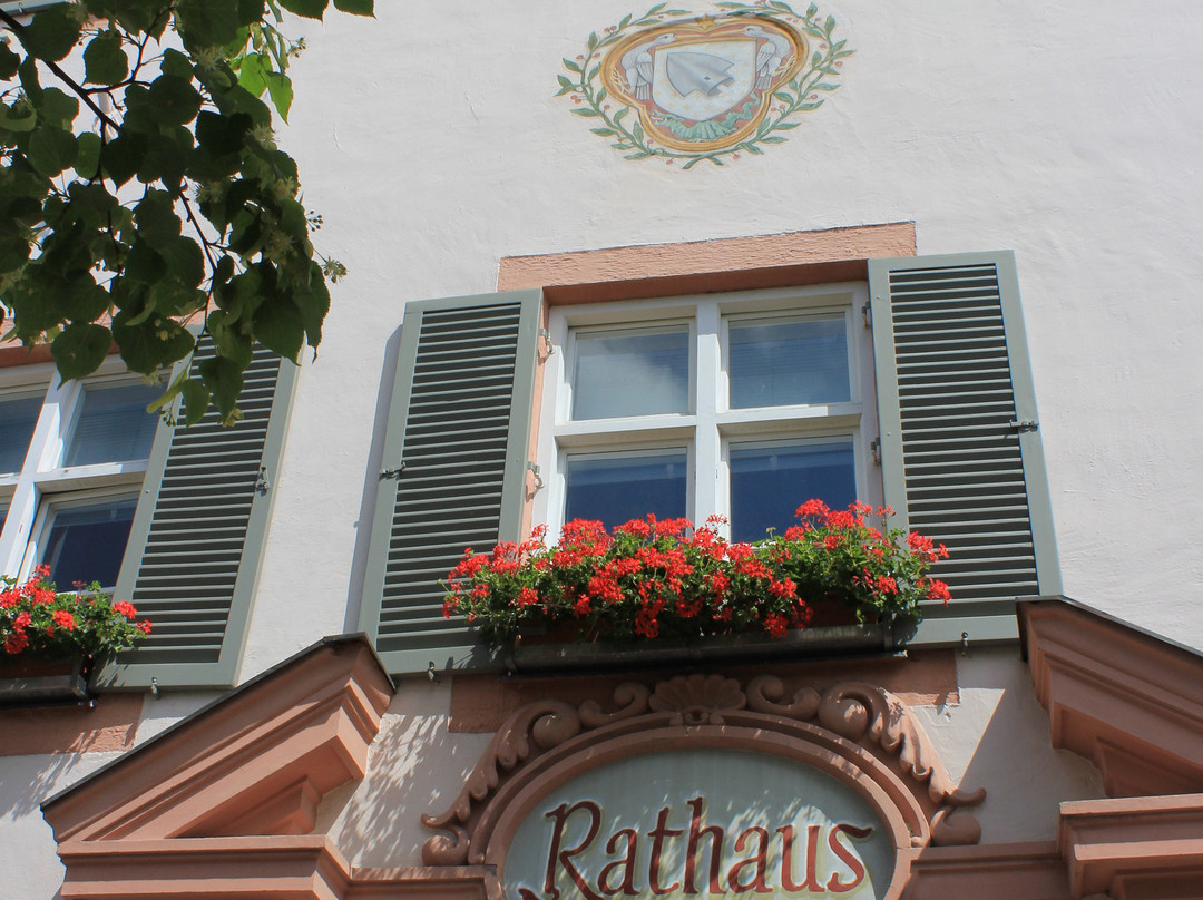 Rathaus-埃尔丁必去景点