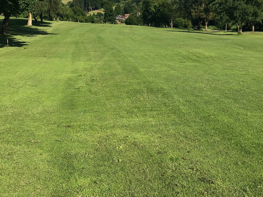 Golf Course Ortenau景点图片