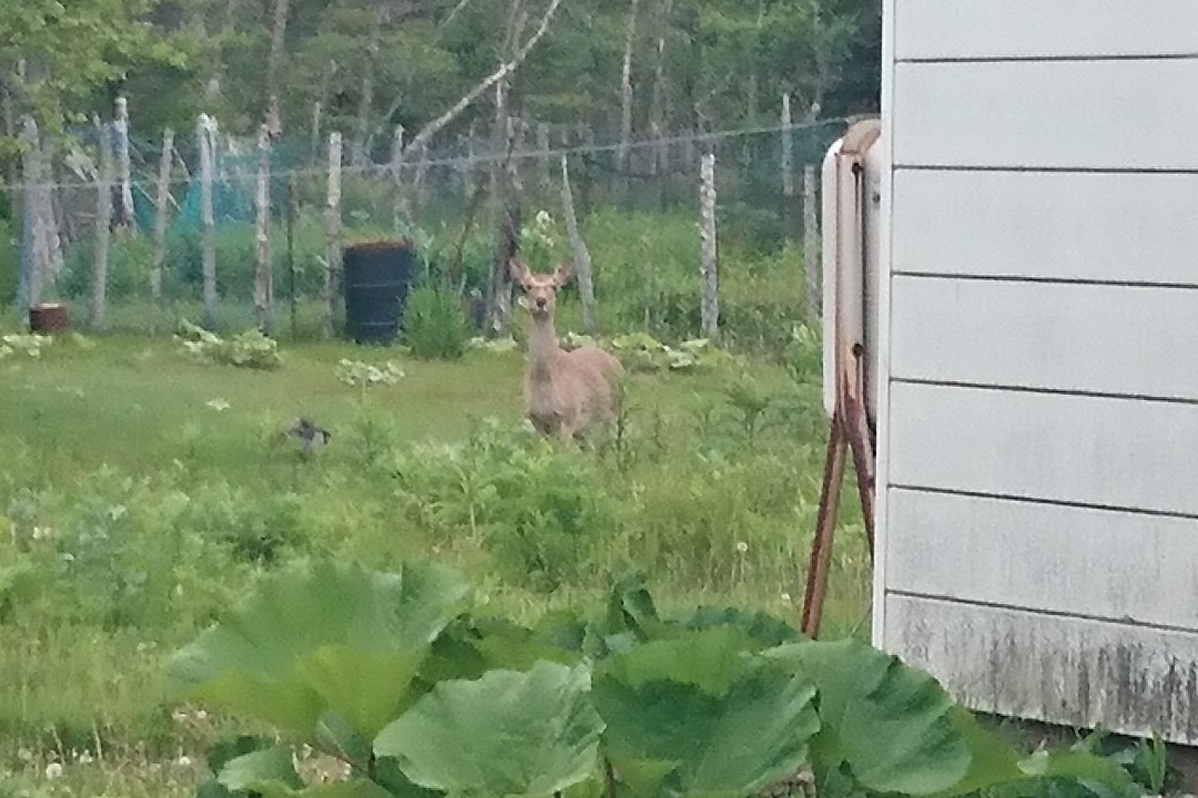 Ochiishi Seaside Way Hamamatsu Path-根室市必去景点