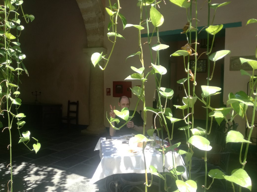 Hotel Marques De Prado Ameno主图