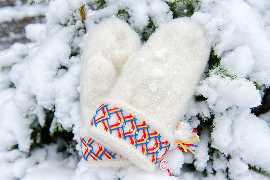 Shop in Lapland-Gammelstad必去景点
