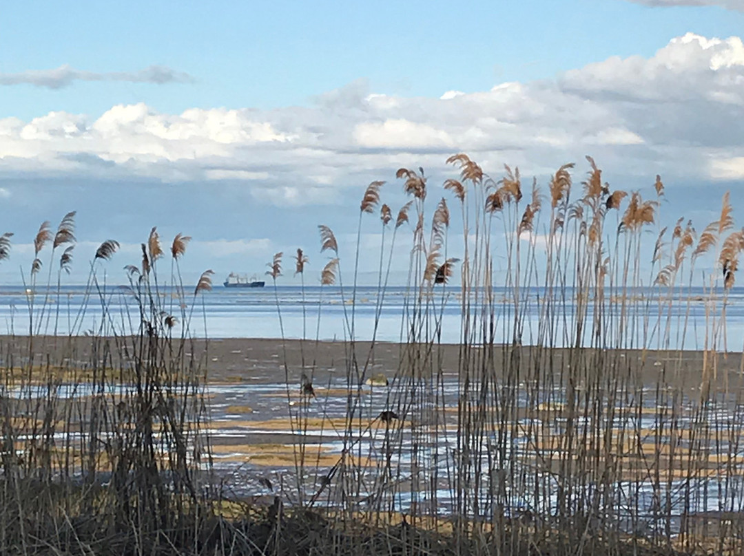 Église de Saint-Joseph-de-la-Rive-Saint-Joseph-de-la-Rive必去景点