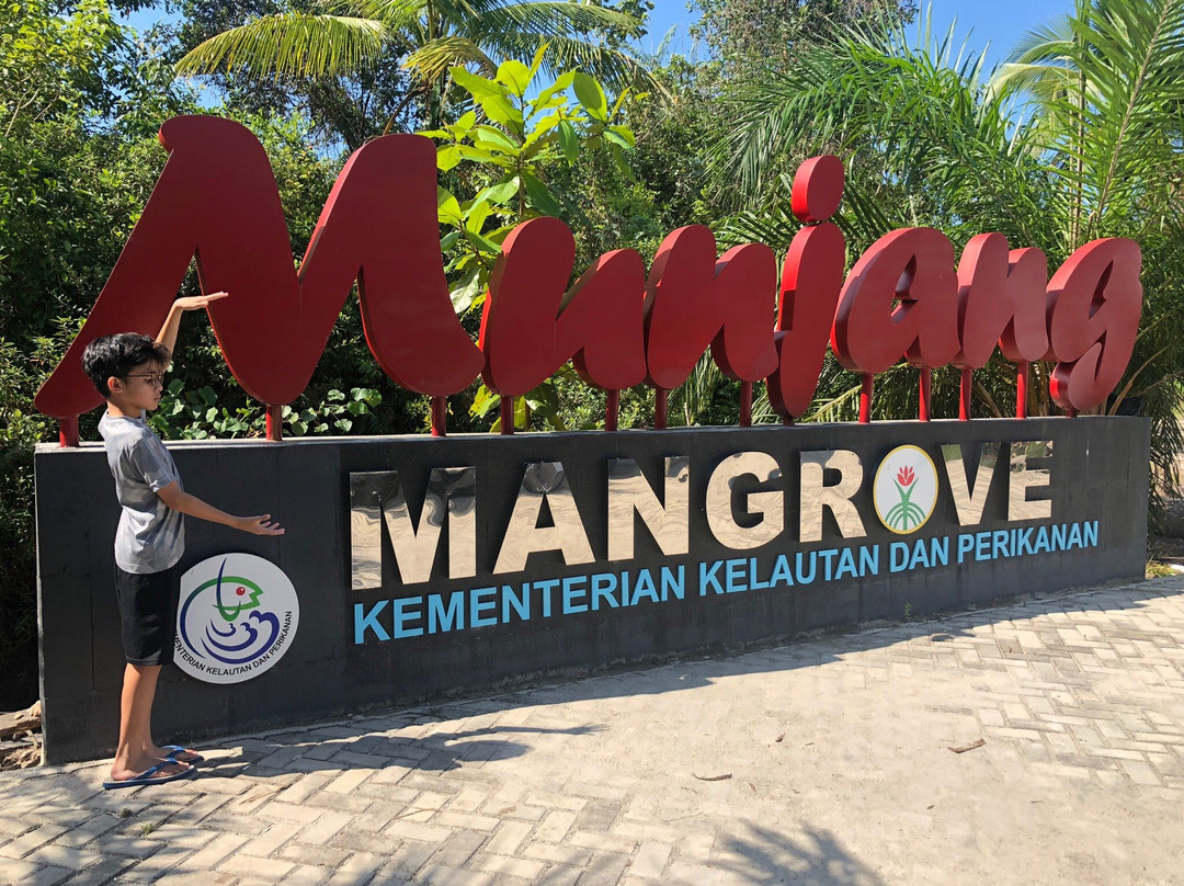 Munjang Mangrove景点图片