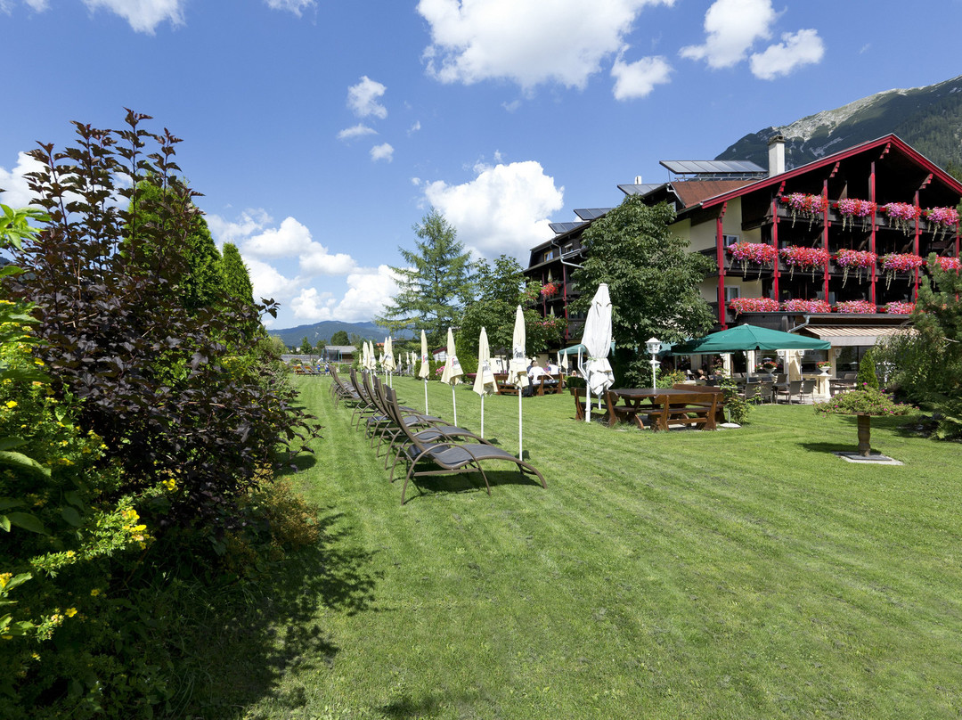 Kulinarik Hotel Alpin主图