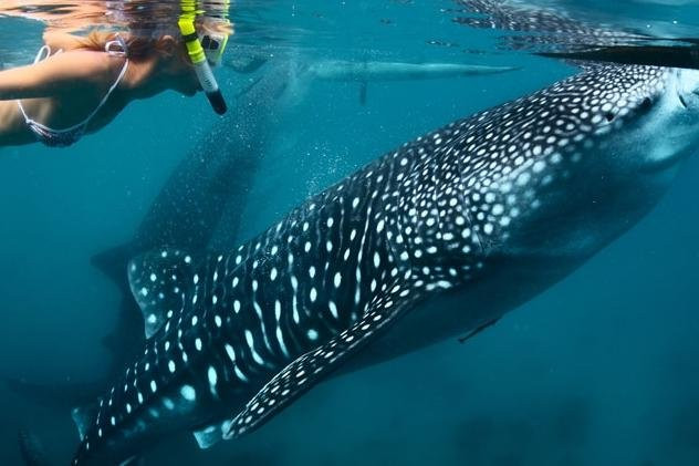 EXPLORER TRAVEL AGENCY景点图片