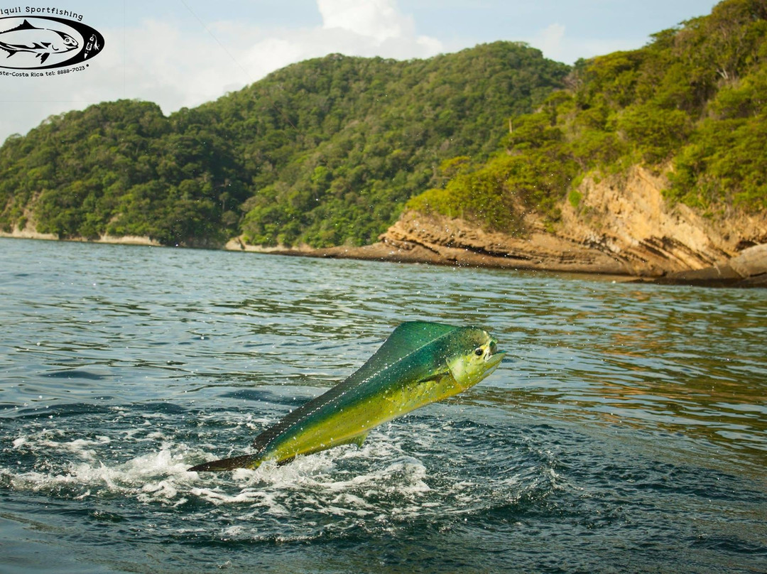 FISH HUNT COSTA RICA-圣何塞必去景点