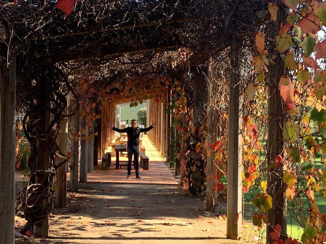 Mornington Peninsula Plunge Wine Tours景点图片