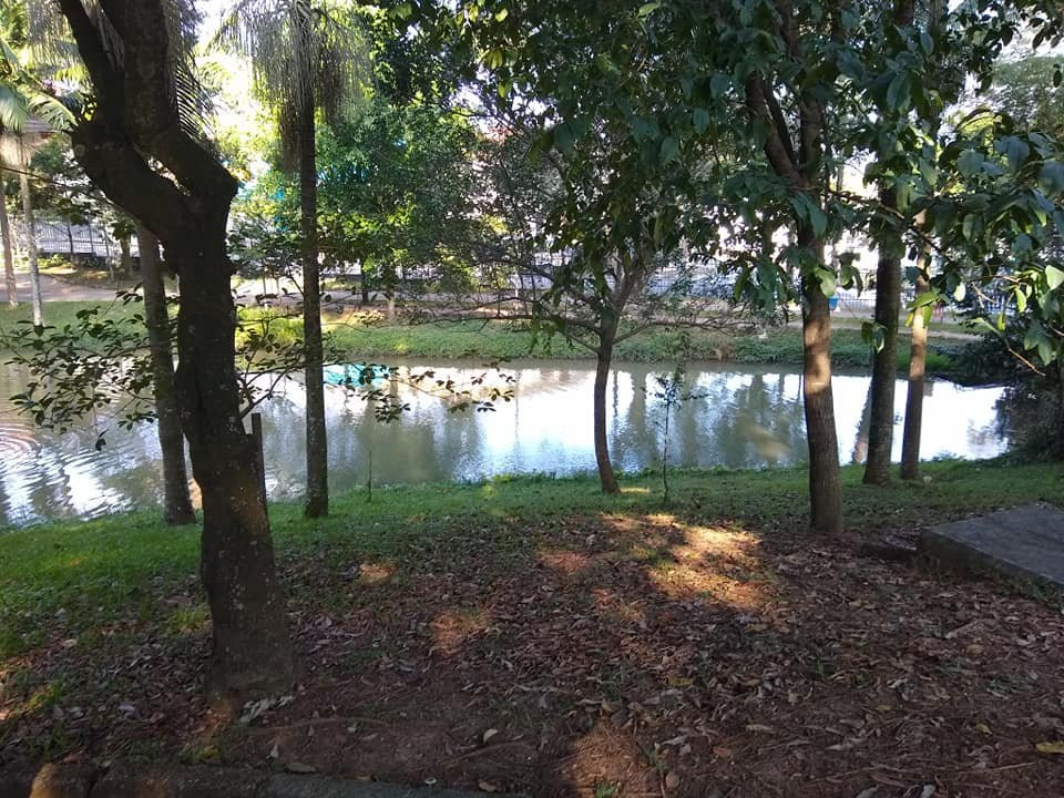 Parque Regional das Crianças景点图片