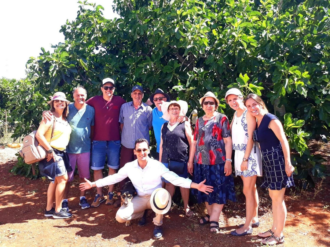 VTours Algarve-法罗必去景点