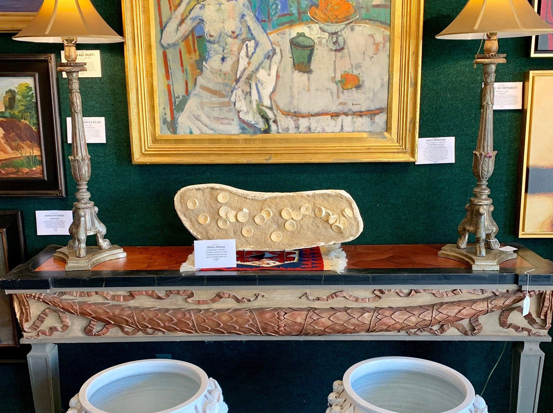 Stewart Galleries-棕榈泉市必去景点