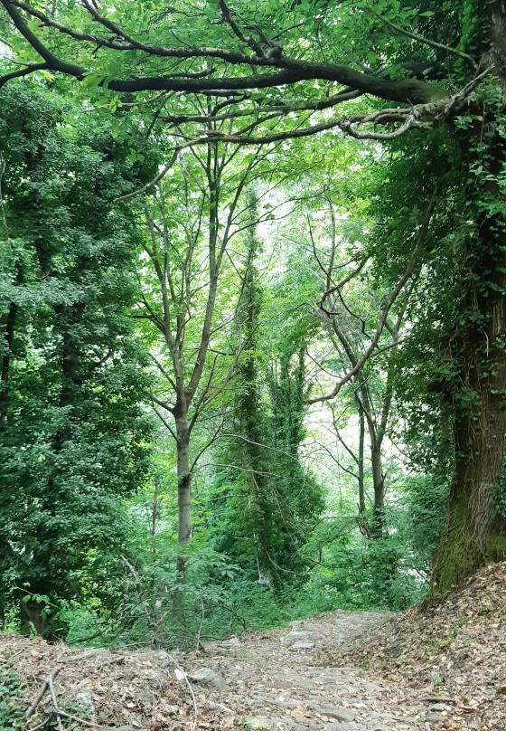 Old Arched Bridge-Tsagkarada必去景点
