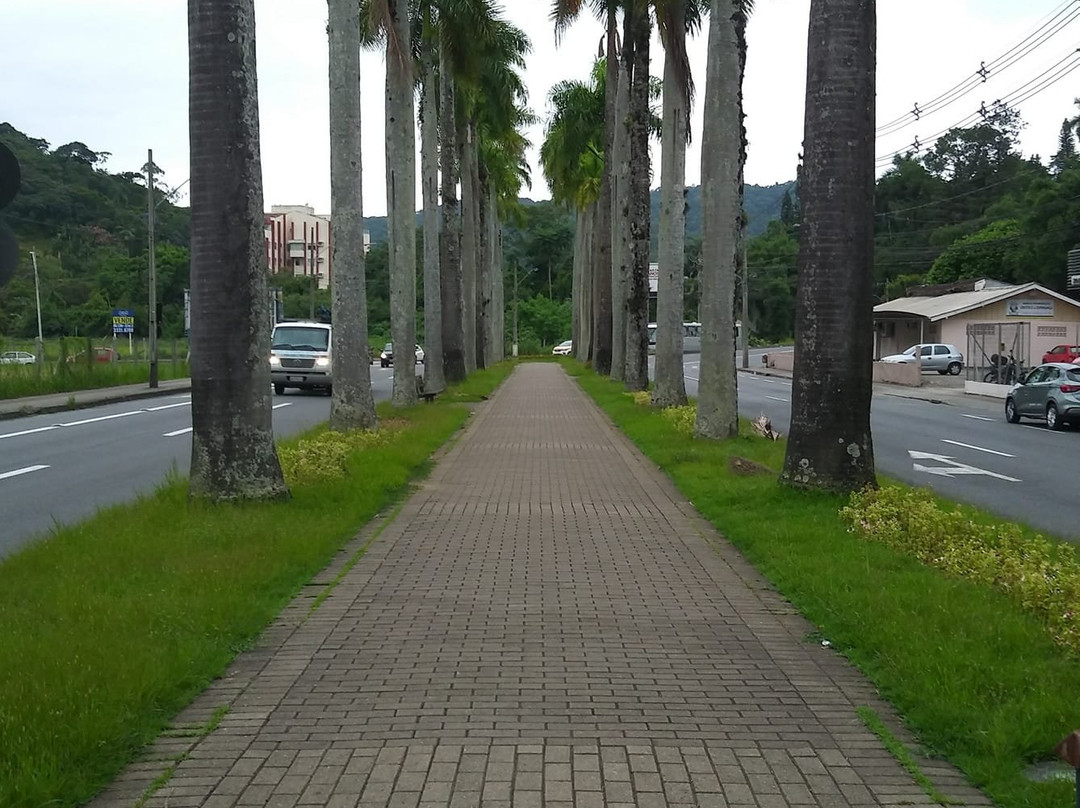 Centro Histórico景点图片