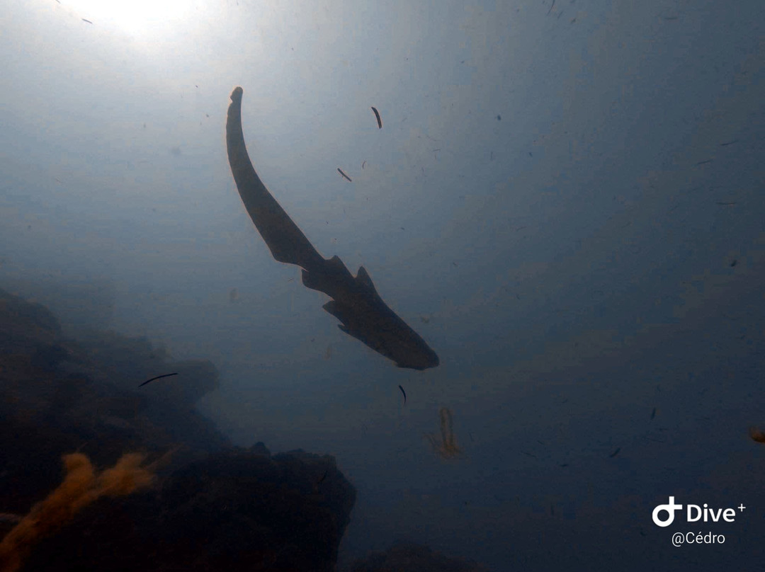 Scub'Addict-Bourail必去景点