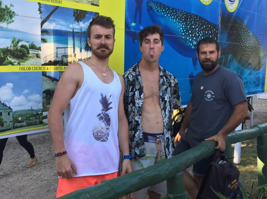 Whale Shark Alona & Oslob-邦劳岛必去景点