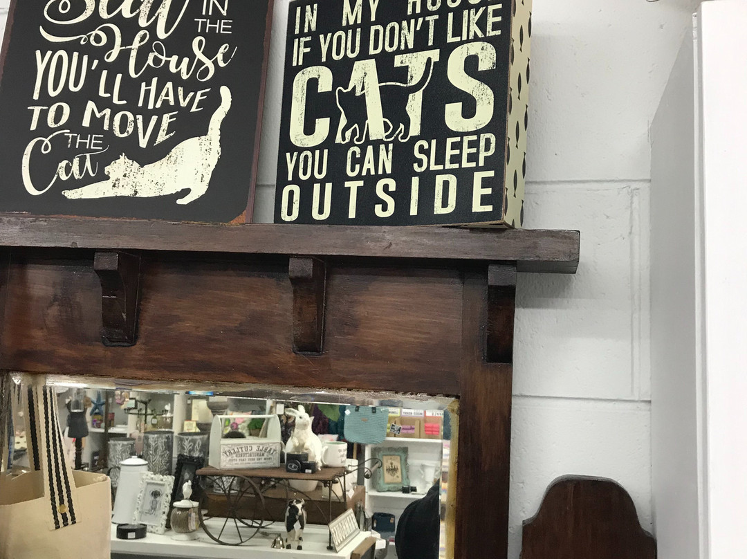 Little Fox Collectables-Rosedale必去景点