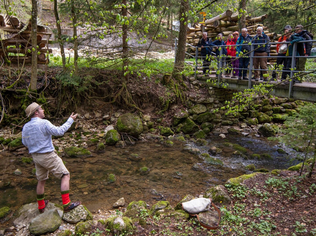 Mord In Der Twannbachschlucht