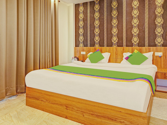 Treebo Silver Stallion主图