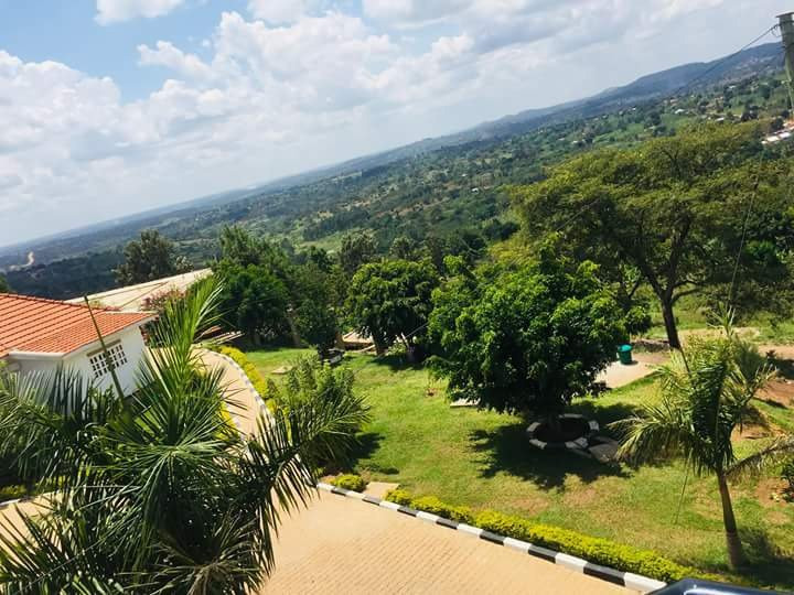 Hotel Hollandia主图