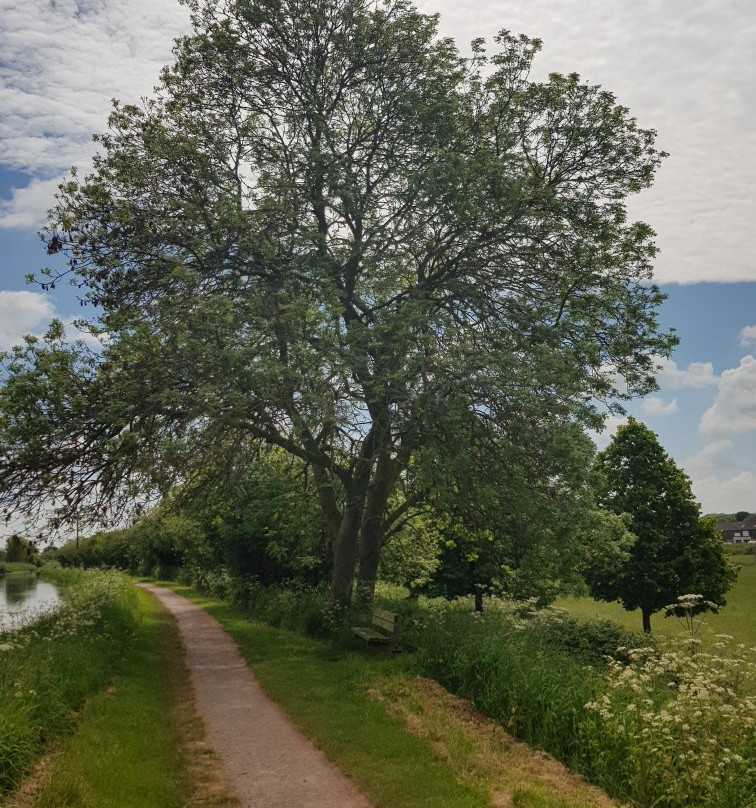 Somerset Towpath-汤顿必去景点