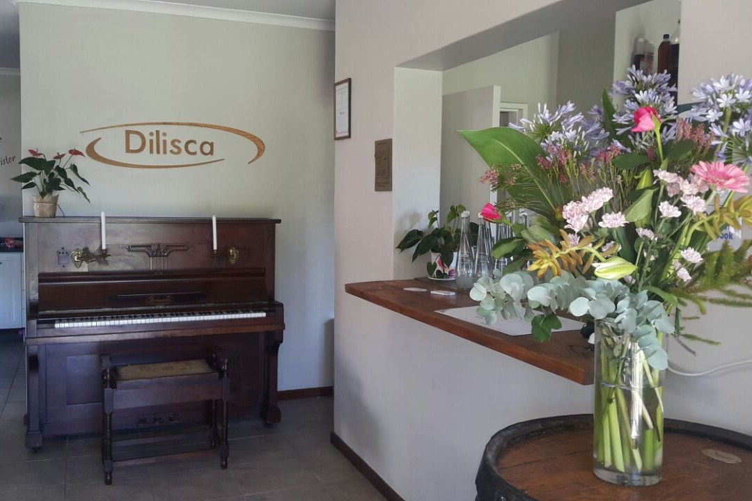 Dilisca Guesthouse主图