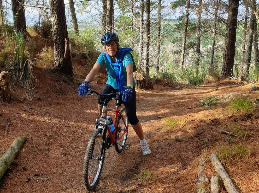 Woodhill Mountain Bike Park景点图片
