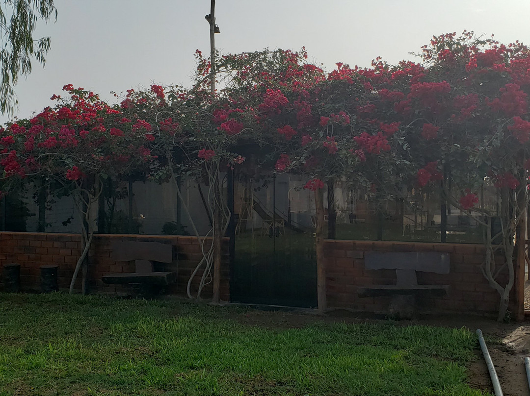 Lodge Viñas Del Sol Eterno主图