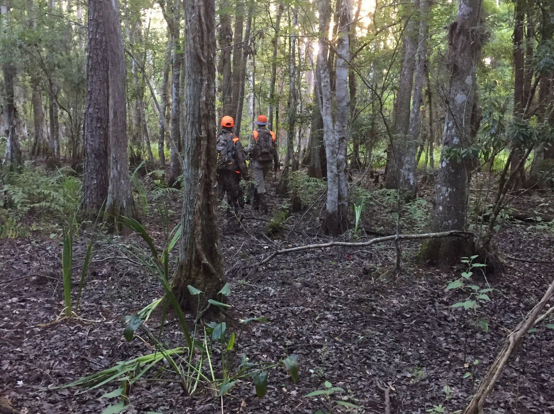 Richloam Fire Tower Trailhead-Webster必去景点