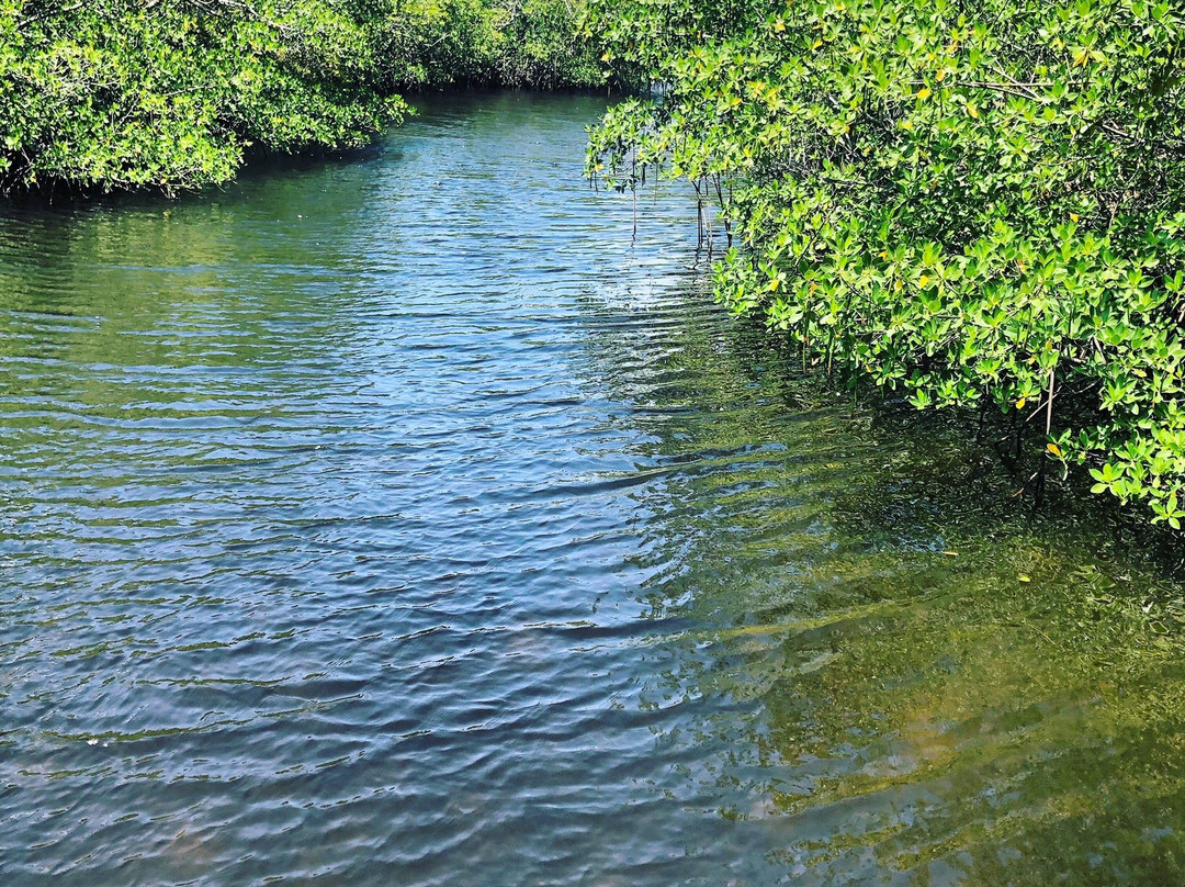 Colohatchee Park-Wilton Manors必去景点