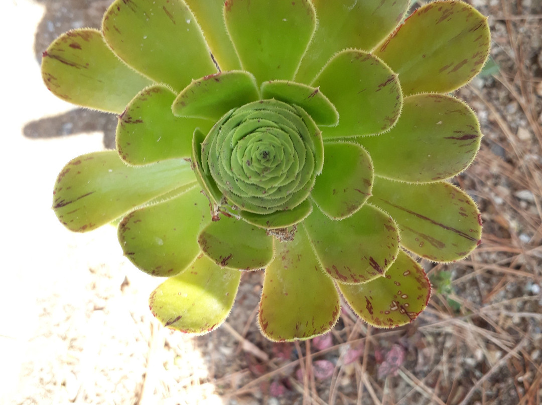 The Hermitage Kailash主图