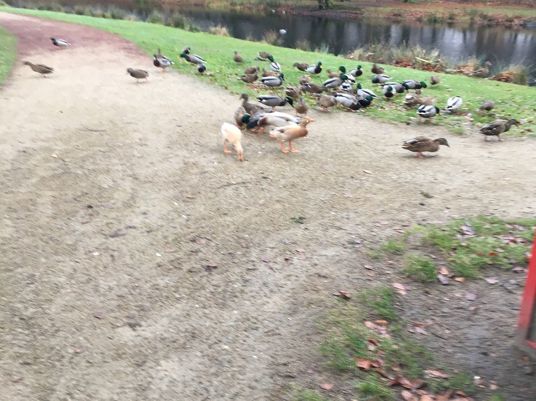 Park Sdr. Anlæg景点图片