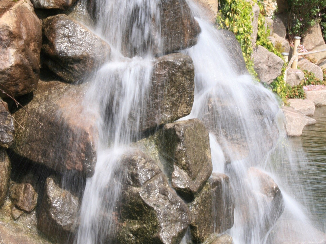 Zen Garden景点图片