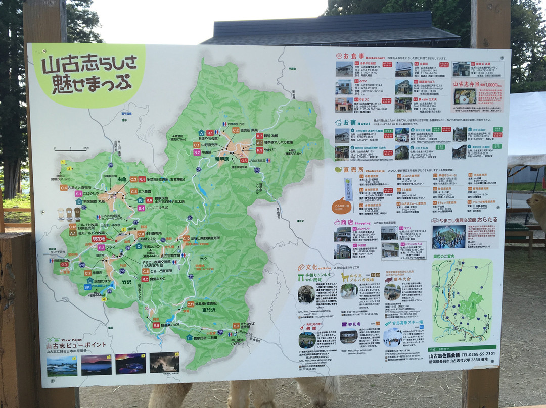 Yamakoshi Alpaca Farm-长冈市必去景点