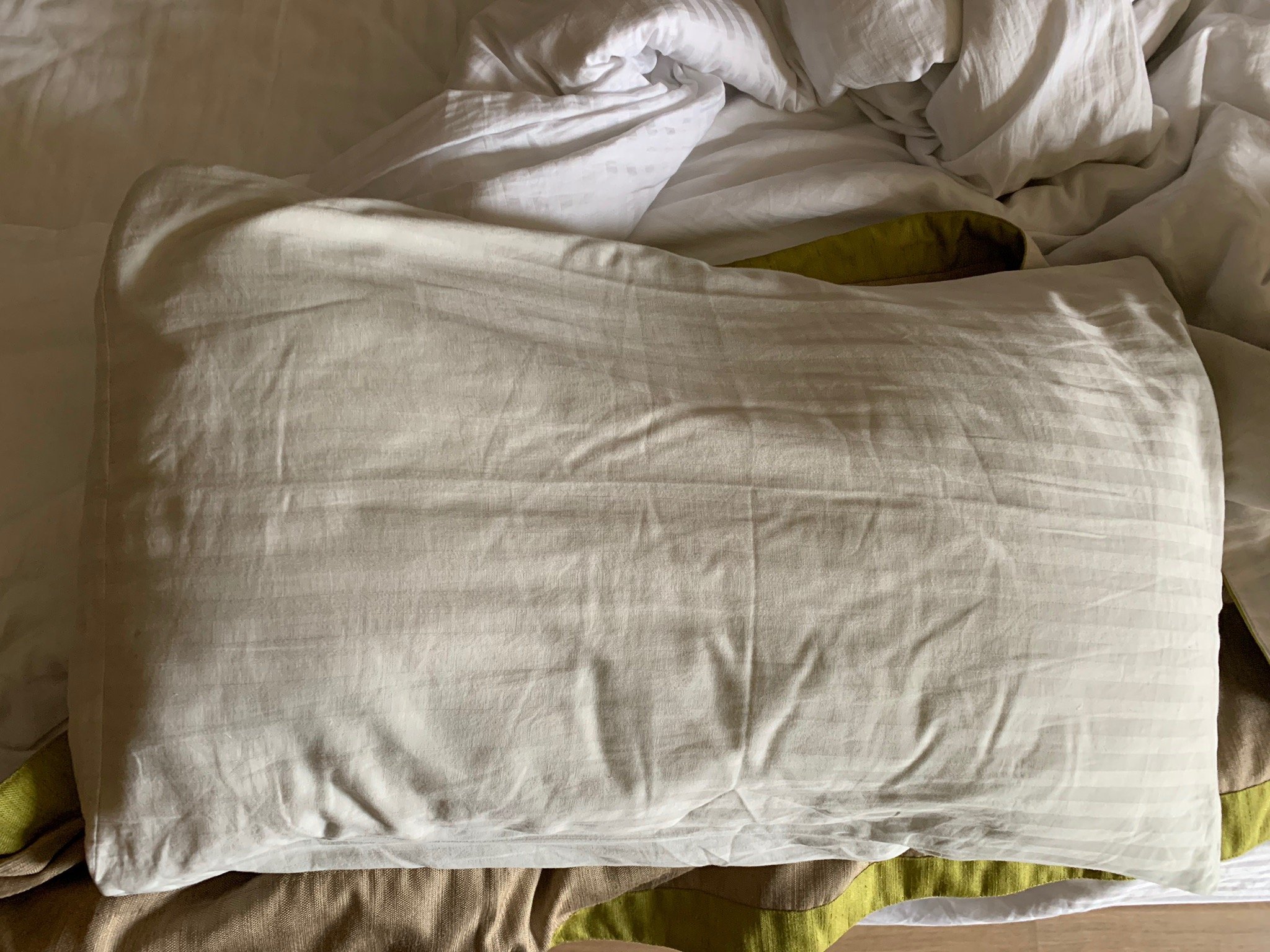 Mayflower Hotel-官方