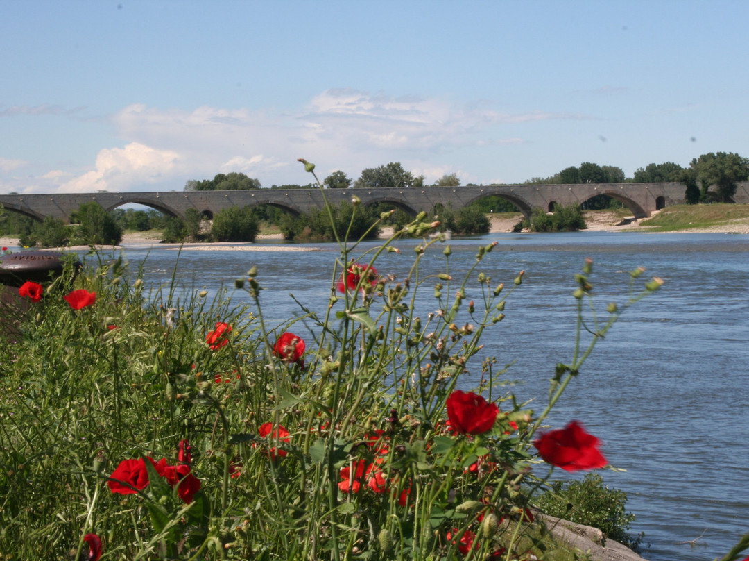 Bureau d'Information Touristique de Pont-Saint-Esprit景点图片