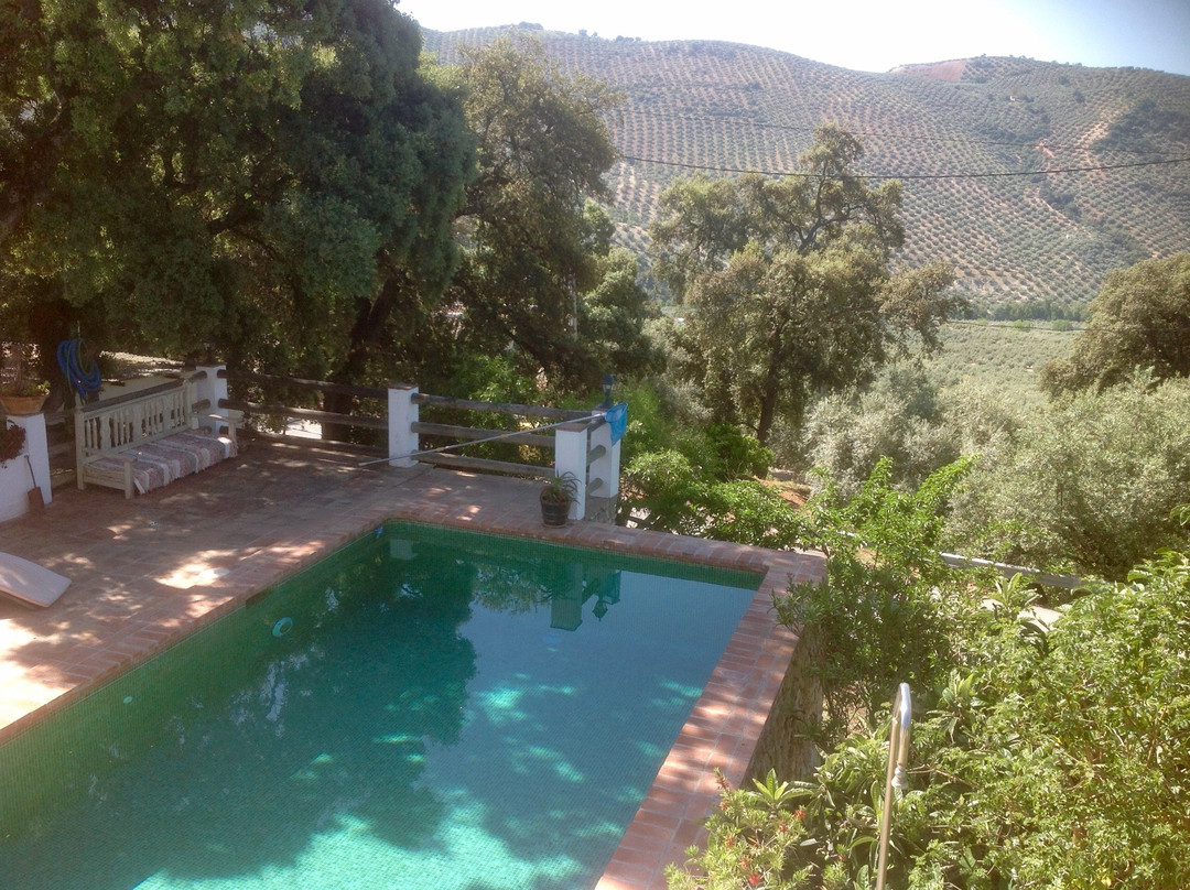 Gourmet B&B Finca Las Encinas主图