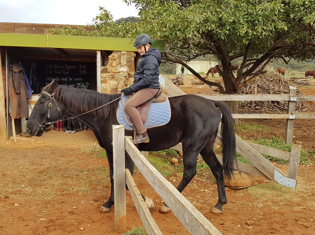 Chesleigh Homestead主图