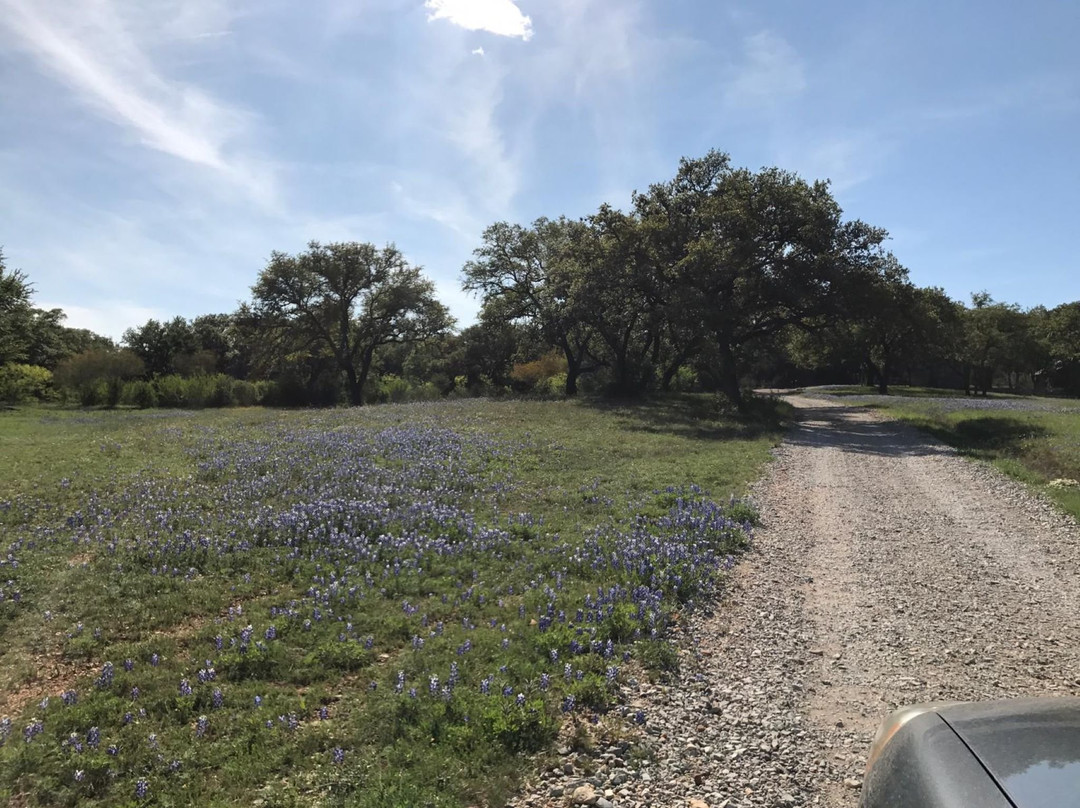 Chanticleer Log Cabin主图