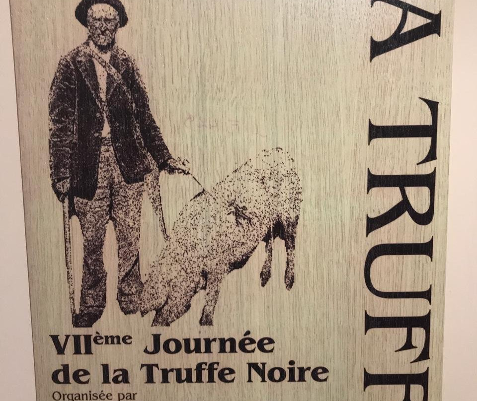 Maison de la Truffe du Verdon景点图片