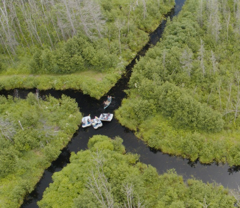 Eco-Odyssee-Wakefield必去景点