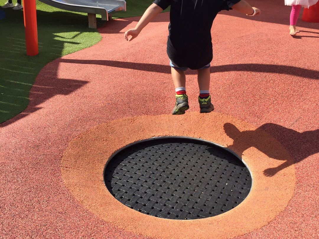 Whoa Studios-奥克兰中心地区必去景点