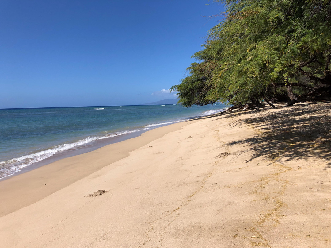 Papalaua Wayside Park-怀露库必去景点