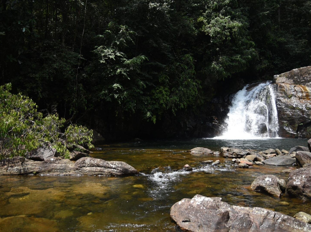 Sinharaja Tour Guide-Deniyaya必去景点