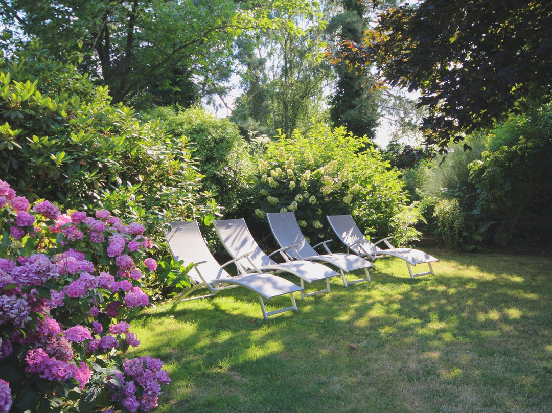 Au Vieux Cadran主图