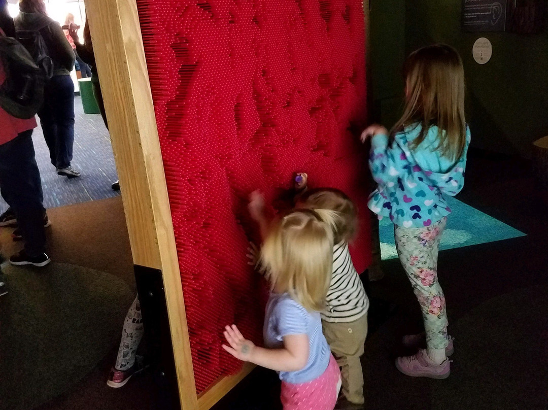 WOW! Children's Museum-Lafayette必去景点