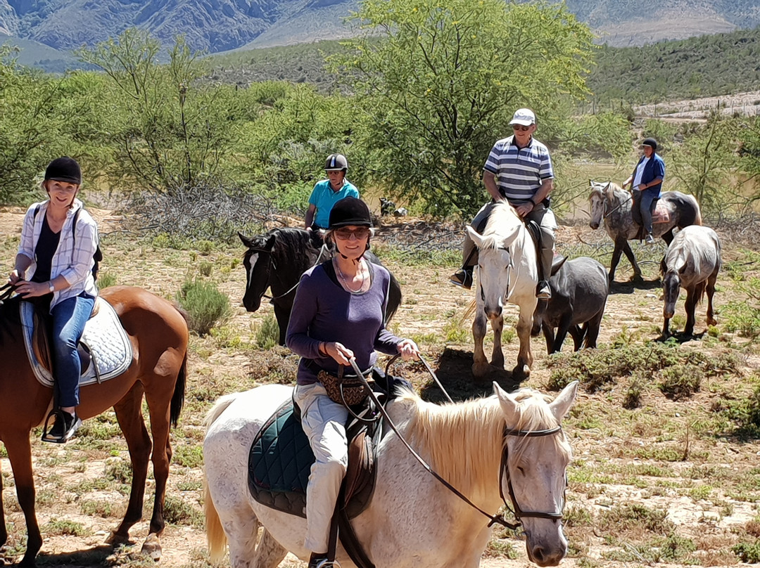 Gamka River Safari Co. - Day Rides-Calitzdorp必去景点