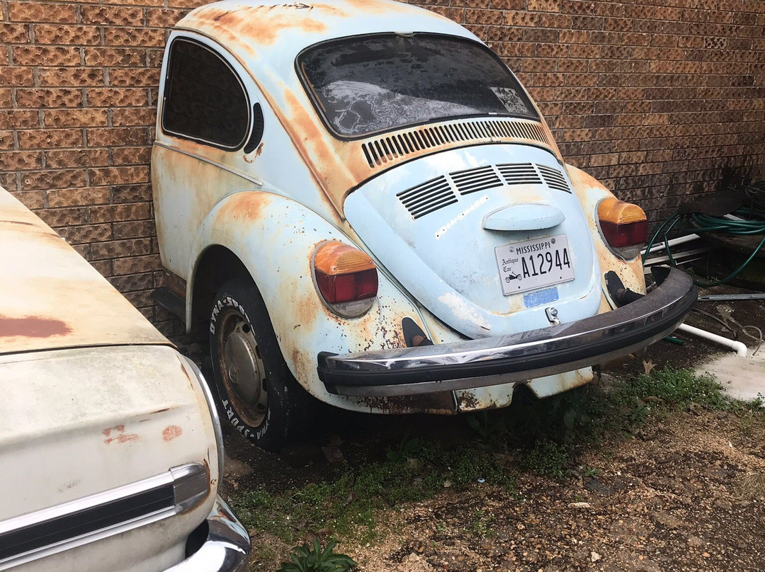 Area 61 Flea Market-纳奇兹必去景点