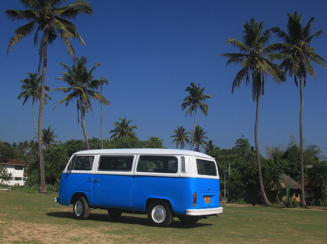 Jansen Adventures-埃勒必去景点
