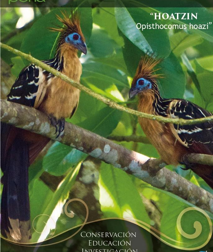 Parque Ecológico y Recreativo Lago Agrio Perla-Nueva Loja必去景点