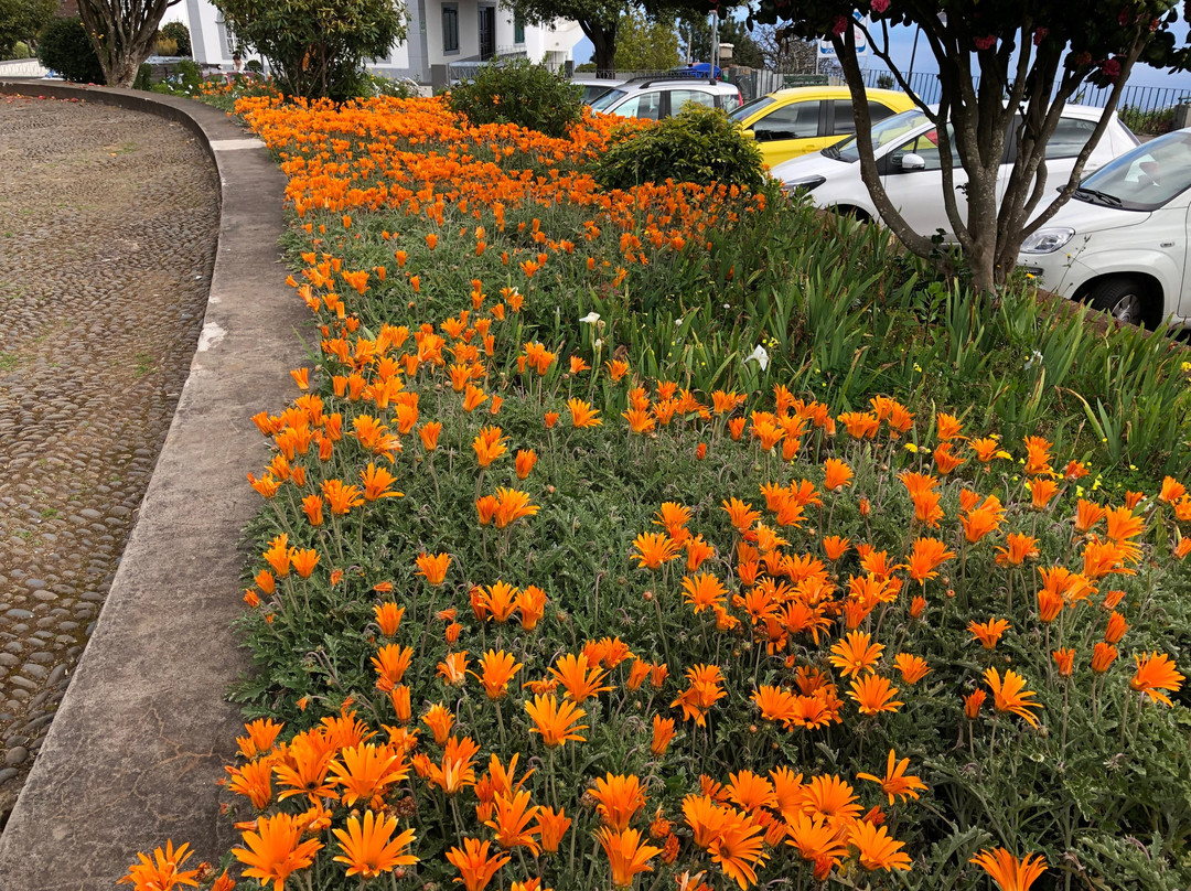 Fabrica de Vimes do Cafe Relogio-马德拉群岛必去景点