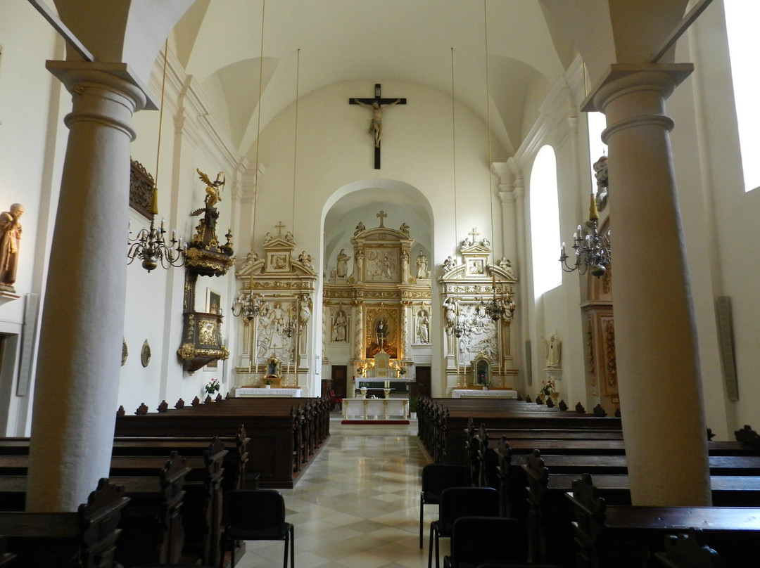 Franziskaner Kirche景点图片